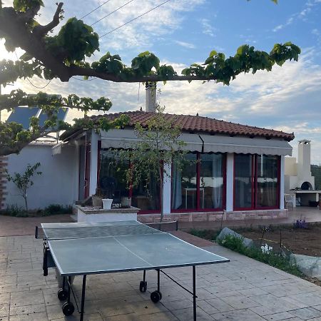 Country Lux Apartment Near Airport Markopoulo Mesogaias ภายนอก รูปภาพ