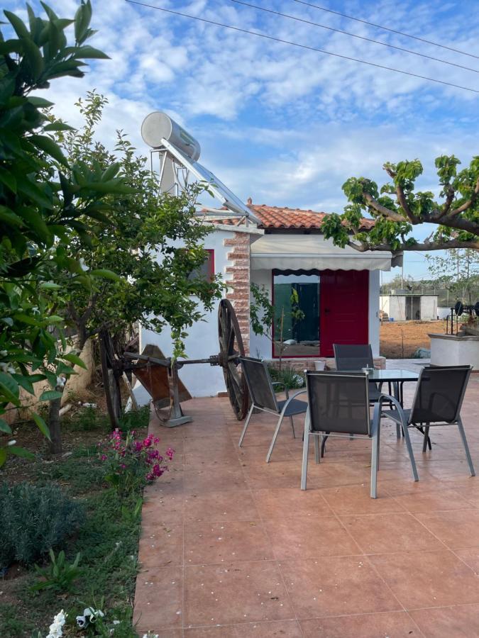 Country Lux Apartment Near Airport Markopoulo Mesogaias ภายนอก รูปภาพ