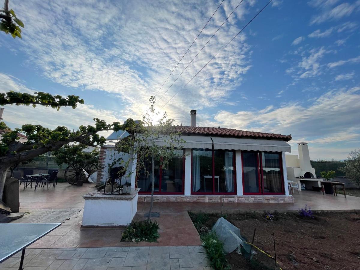 Country Lux Apartment Near Airport Markopoulo Mesogaias ภายนอก รูปภาพ