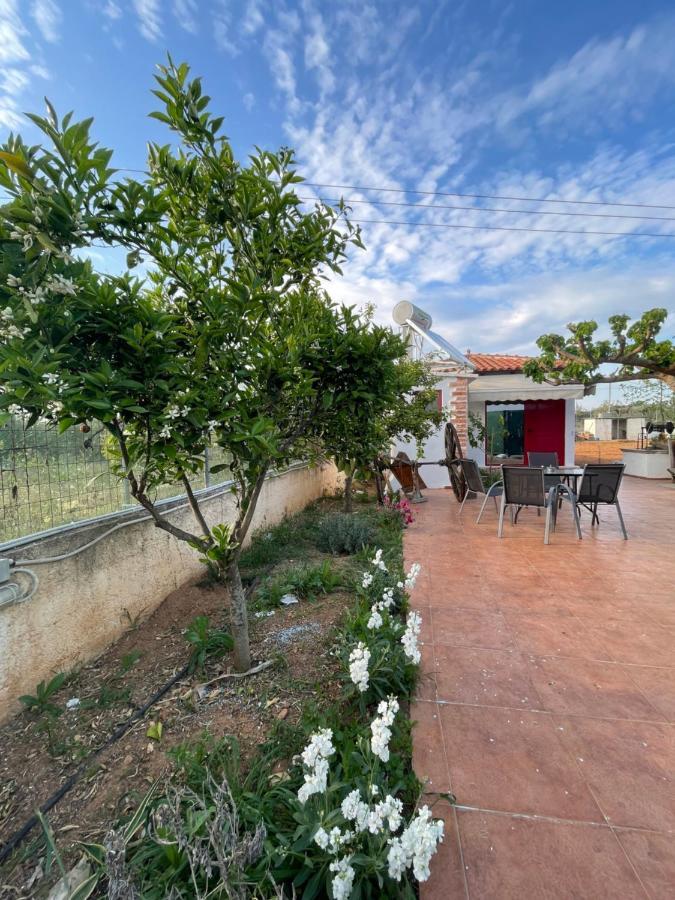 Country Lux Apartment Near Airport Markopoulo Mesogaias ภายนอก รูปภาพ